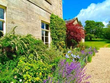 Castle Craig Residential Rehab Garden