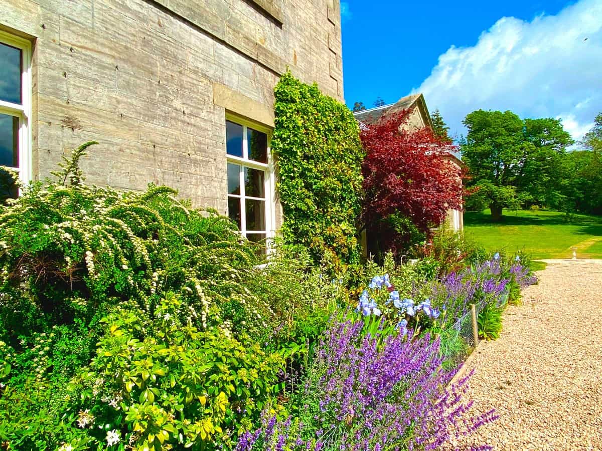 Castle Craig Residential Rehab Garden