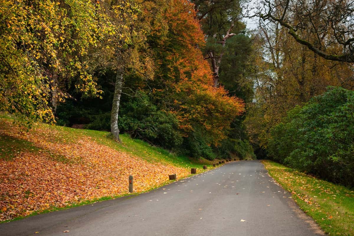 Road to recovery at Castle Craig