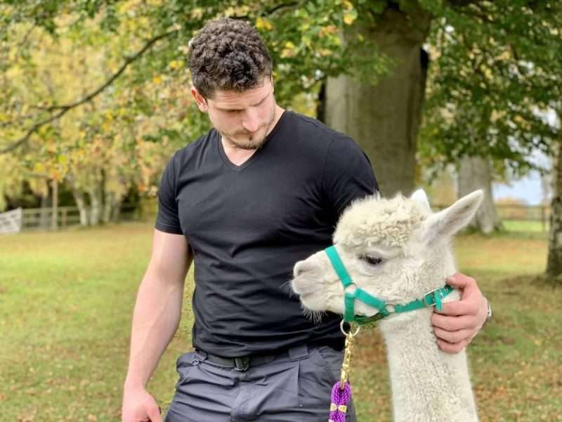 Castle Craig Alpaca Assisted Therapy