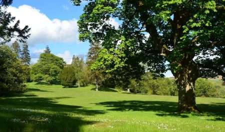 Castle Craig Landscape