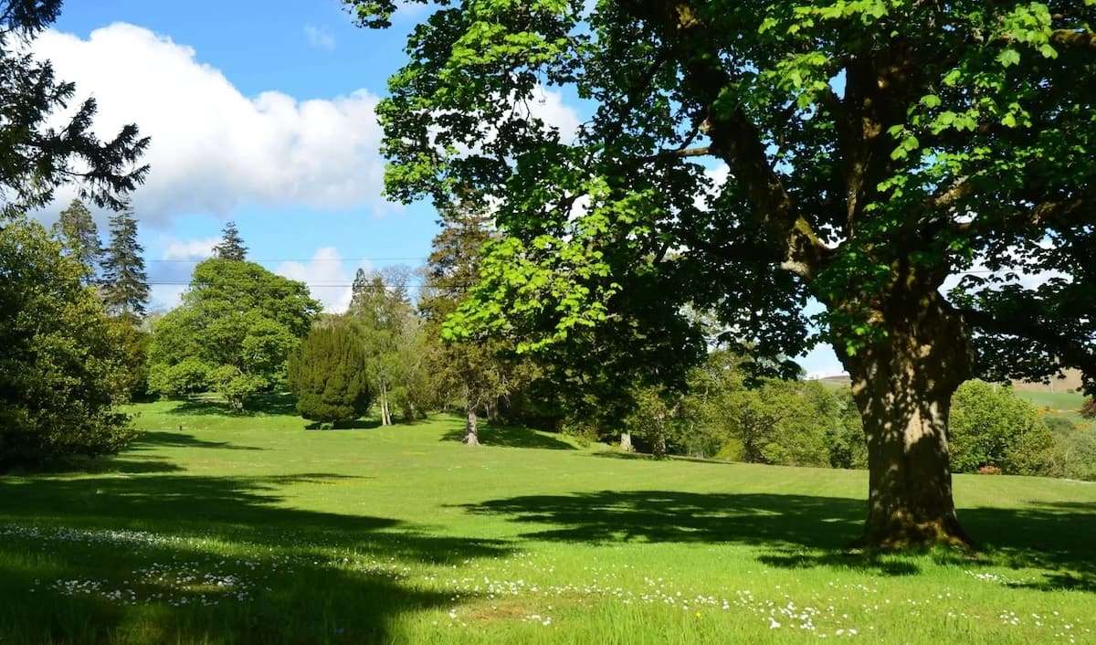 Castle Craig Landscape