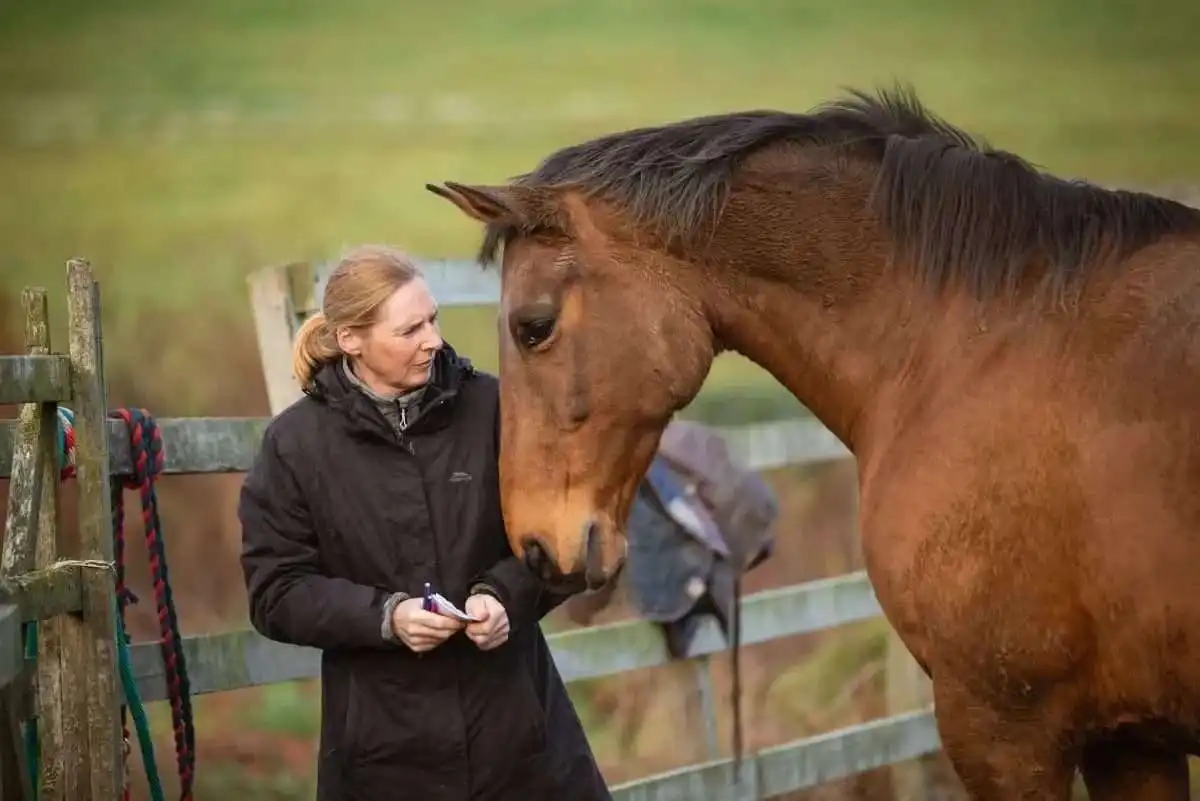 Smarmore Castle Equine Therapy