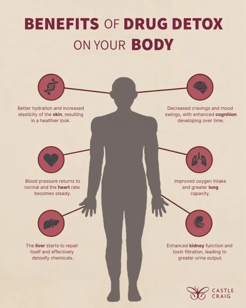 infographic on how a drug detox works on the human body