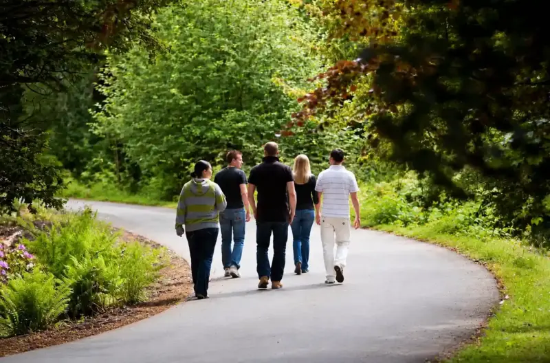 Friends Strolling Through a Woodland Path at Rehab
